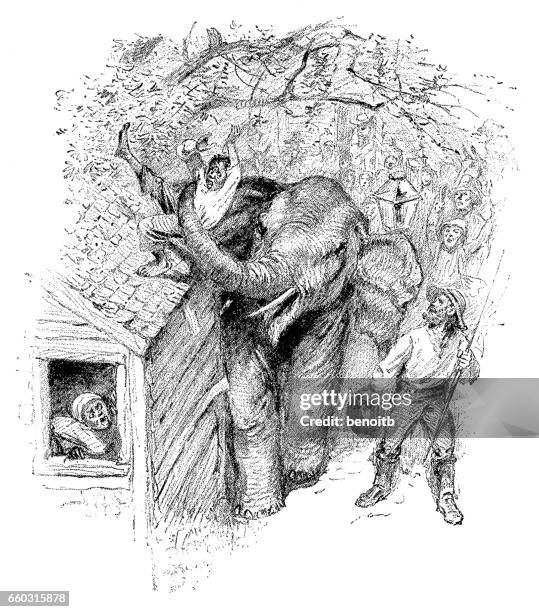 mad elephant - elephants running stock illustrations