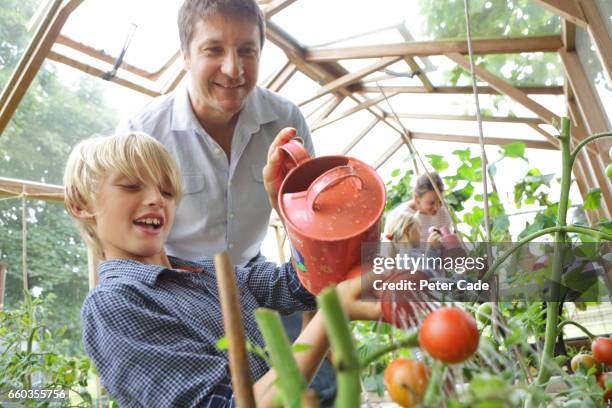 family in poly tunnel watering plants - pantaloni arancioni foto e immagini stock