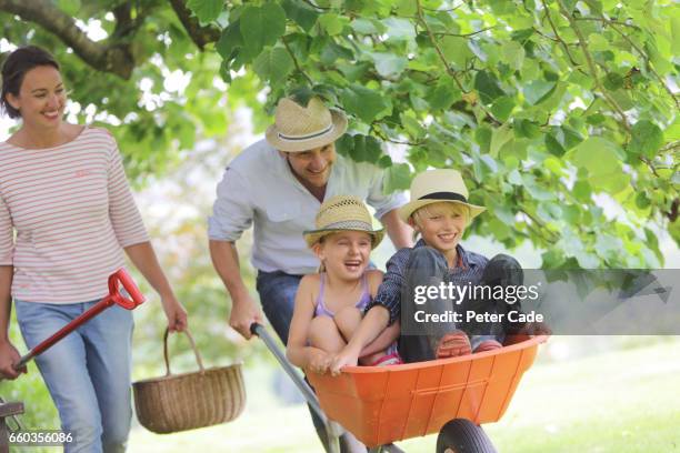family playing in garden with children in wheelbarrow - kruiwagen stockfoto's en -beelden
