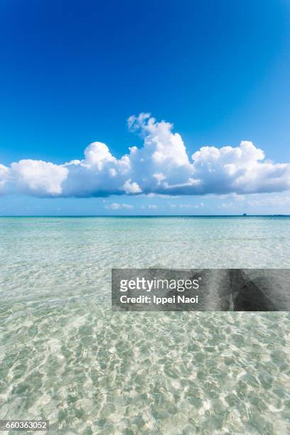 clear tropical water and cumulus clouds on the horizon, kumejima - okinawa blue sky beach landscape stock pictures, royalty-free photos & images