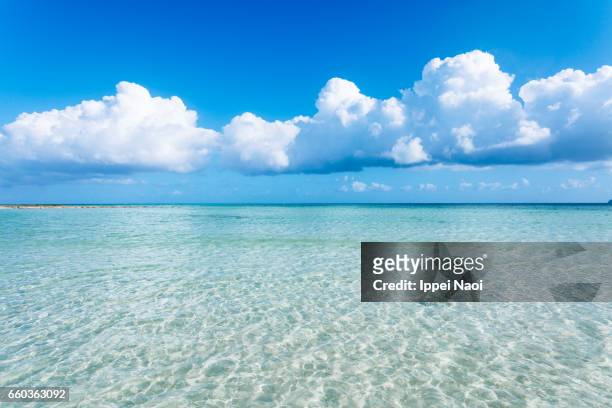 clear tropical water and cumulus clouds on the horizon, okinawa - 入道雲 ストックフォトと画像
