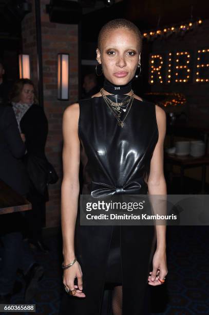 Adwoa Aboah attends the after party for the premiere of "Ghost In The Shell" hosted by Paramount Pictures and Dreamworks Pictures at The Ribbon on...