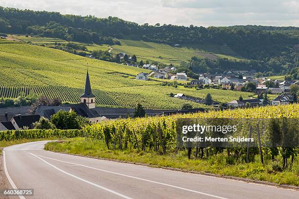 nittel village and church around wineries - rhineland palatinate stockfoto's en -beelden