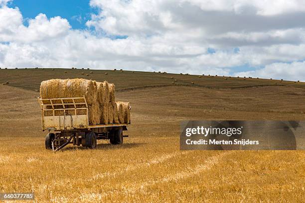 cargo car loaded with hayroles in field - overberg stock pictures, royalty-free photos & images