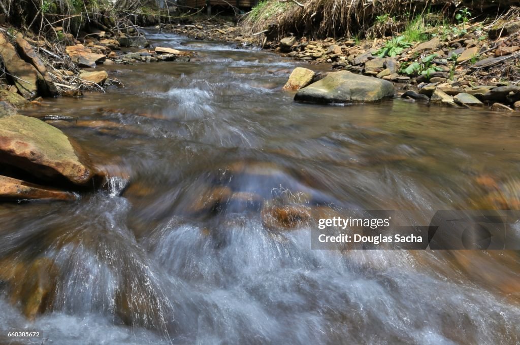 Fast moving mountain stream
