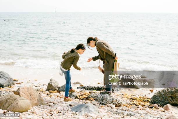 mother and daughter finding shells and stones - family gathering seashells on beach stock pictures, royalty-free photos & images