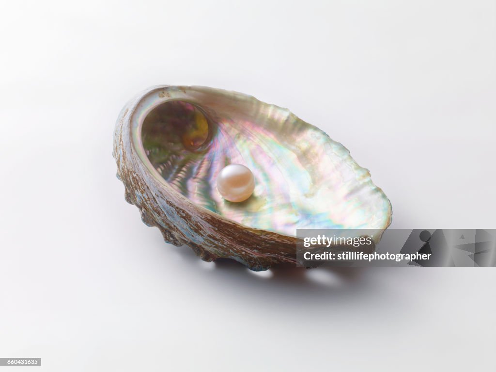 Pearl in shell
