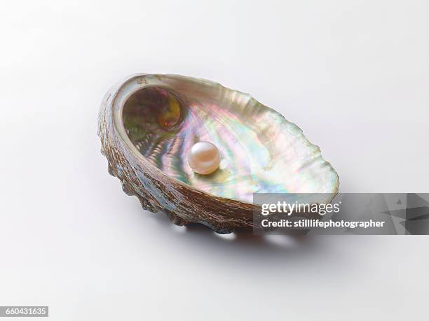 pearl in shell - oysters stock-fotos und bilder