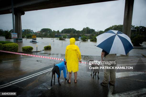 Onlookers look at submerged cars in a flooded carpark in Toombul, in Queensland on March 30, 2017. - Torrential rain hampered relief efforts after...