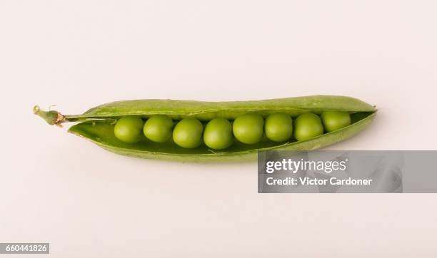 green peas and peapod on white background - エンドウマメの鞘 ストックフォトと画像