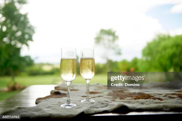 two champagne flute - dos objetos stock pictures, royalty-free photos & images