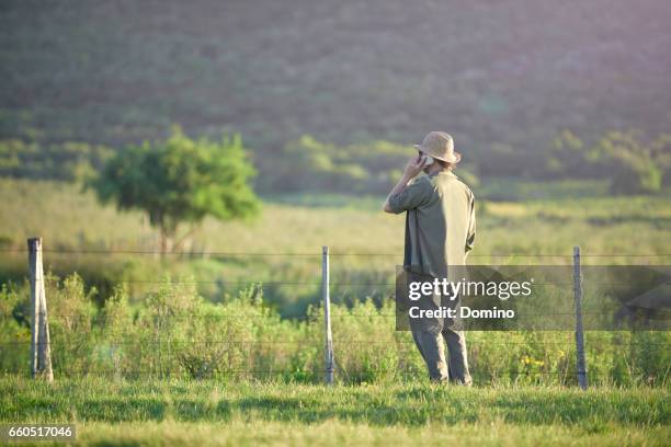 man talking with smartphone in landscape - teléfono móvil stock pictures, royalty-free photos & images