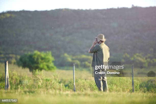 man talking with smartphone in landscape - teléfono móvil stock pictures, royalty-free photos & images