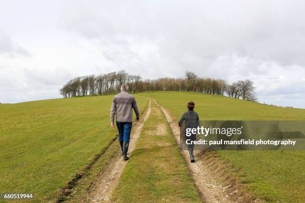 countryside walk to chanctonbury ring - west sussex stock pictures, royalty-free photos & images