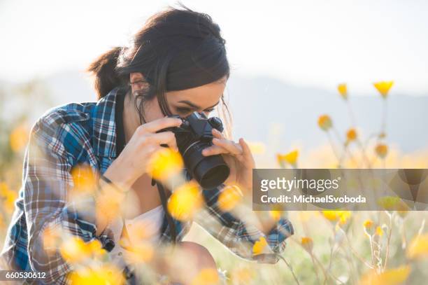 vrouwen fotograaf in de wilde bloemen - spiegelreflexcamera stockfoto's en -beelden