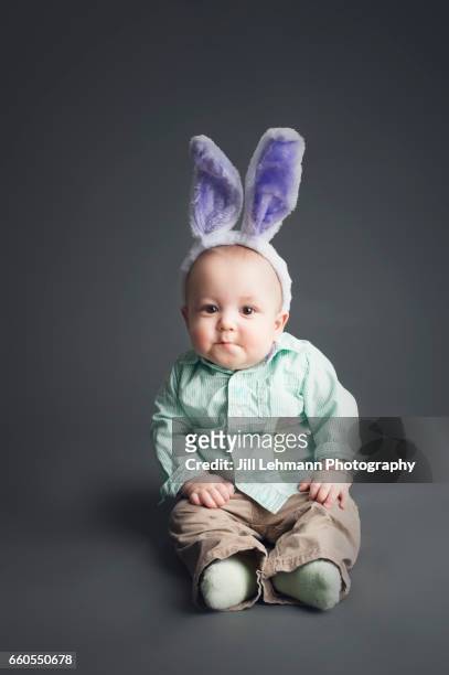 baby stares seriously at the camera wearing bunny ears - baby bunny stockfoto's en -beelden