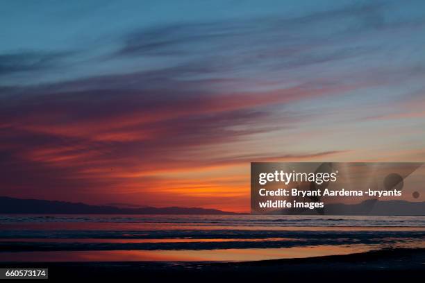 sun down - ilha de antelope imagens e fotografias de stock