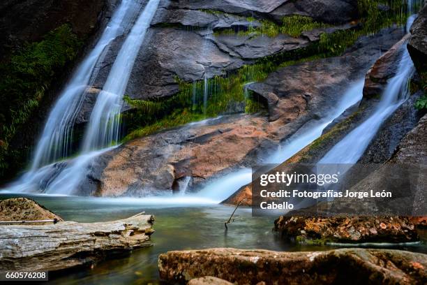 waterfall "la grande" in lagoon alerces area longexposition shot - escena de tranquilidad stock-fotos und bilder