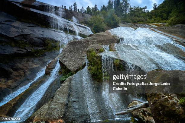 waterfall "la grande" in lagoon alerces area in a cloudy day - américa del sur stock pictures, royalty-free photos & images
