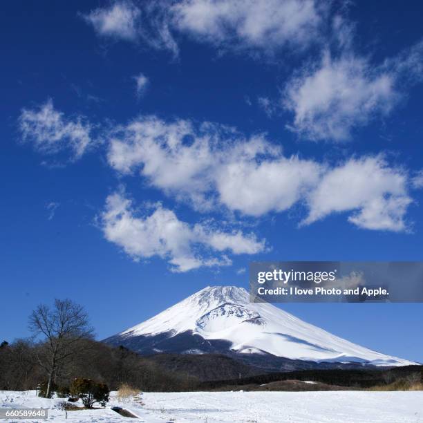 fuji from the snowfield - 一月 stockfoto's en -beelden