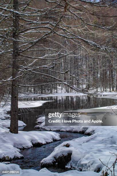 mishaga-ike winter view - 小川 stock pictures, royalty-free photos & images