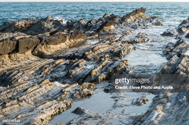 rocky shores of arasaki - 海岸 stockfoto's en -beelden