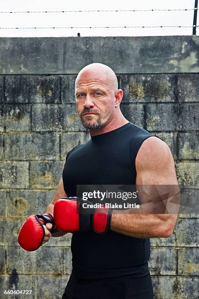 boxer against concrete wall - goatee stock pictures, royalty-free photos & images