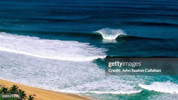 ehukai beach park - haleiwa stock-fotos und bilder