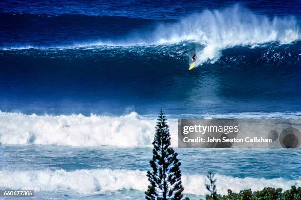 winter surfing at sunset beach - haleiwa 個照片及圖片檔