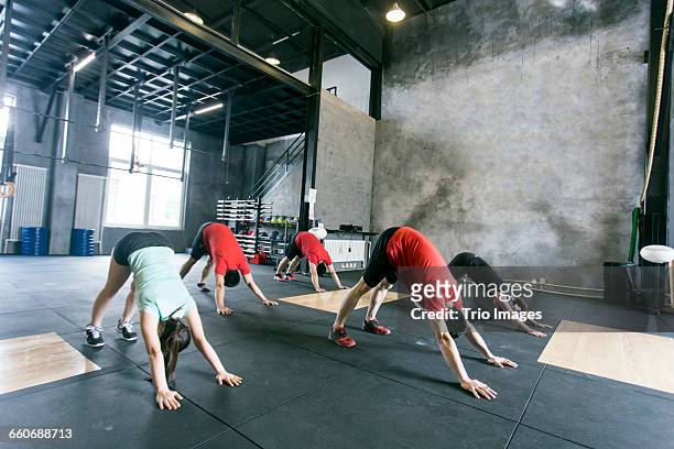 people stretching in gym - downward facing dog position stock pictures, royalty-free photos & images