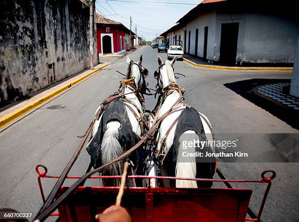 horse-drawn carriage ride. - animal powered vehicle ストックフォトと画像