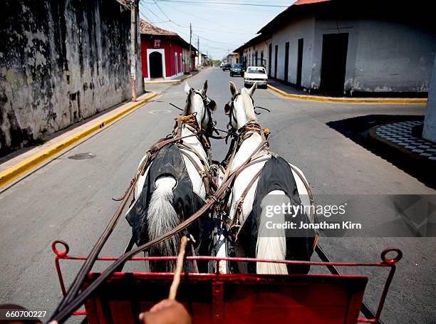 horse-drawn carriage ride. - wagen getrokken door een dier stockfoto's en -beelden