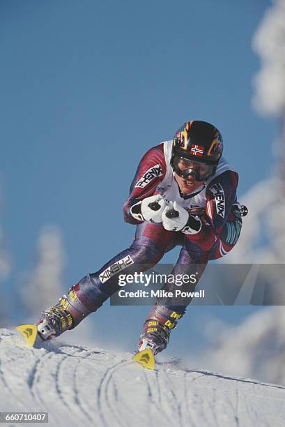 Caroline Gedde-Dahl of Norway skiing the Women's Giant Slalom event on 15 February 1994 during the XVII Olympic Winter Games in Kvitfjell Alpine...