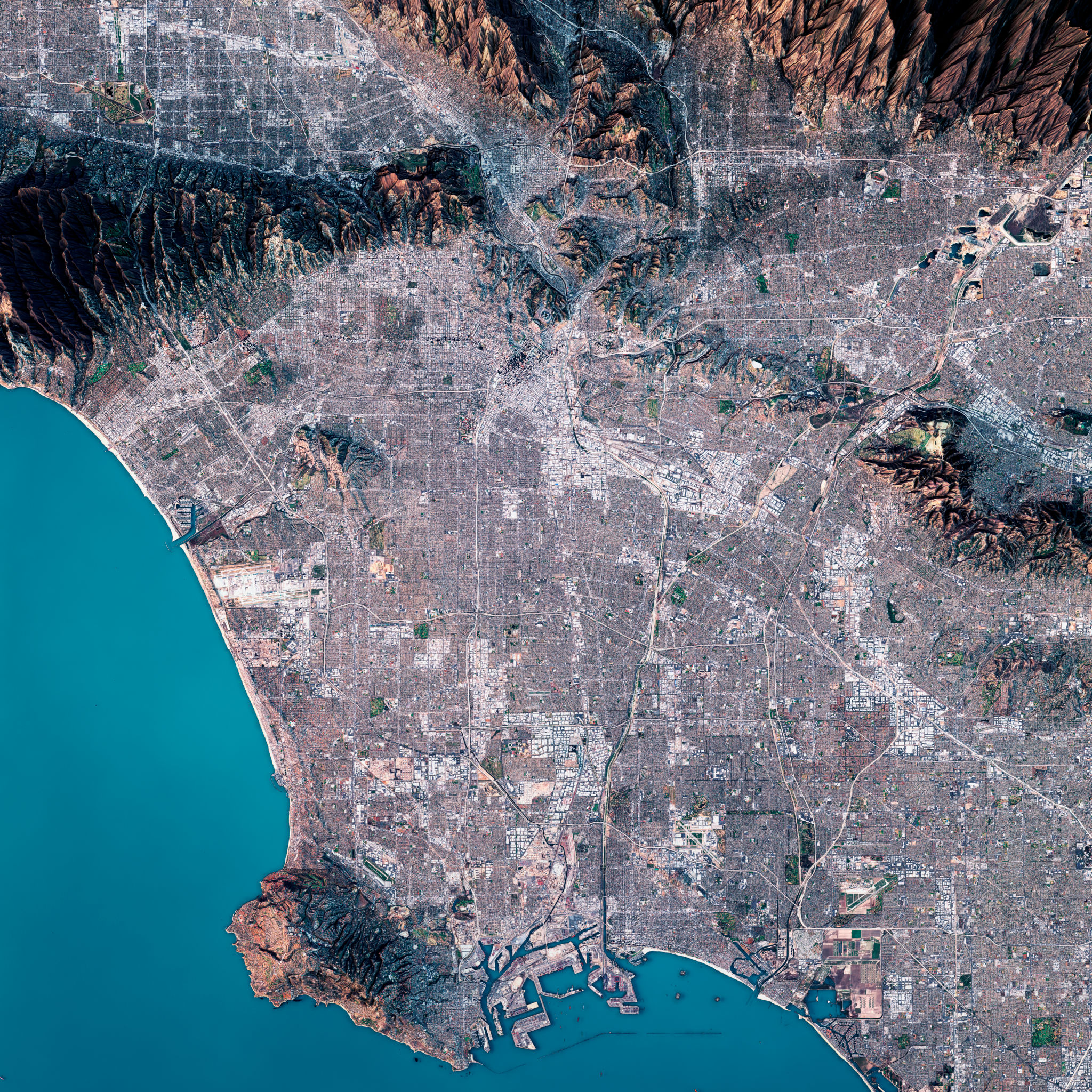 digital design Los Angeles