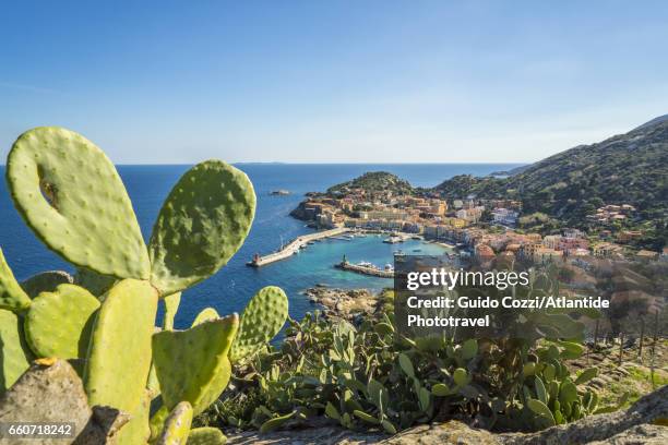 view of giglio porto - giglio stock-fotos und bilder