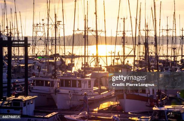 traditional salmon fishing boats in british columbia, canada - bc commercial fishing boats stock pictures, royalty-free photos & images