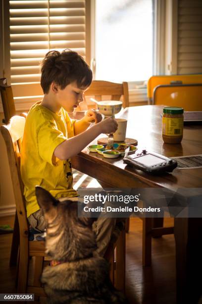 boy eating breakfast in the sun while a dog watches - danielle donders stock pictures, royalty-free photos & images