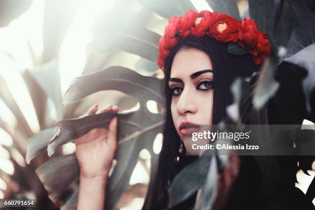 hajar iii - alessia rosso stock pictures, royalty-free photos & images