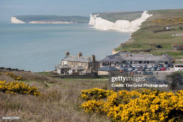 the seven sisters chalk cliffs and beach. - birling gap stock pictures, royalty-free photos & images