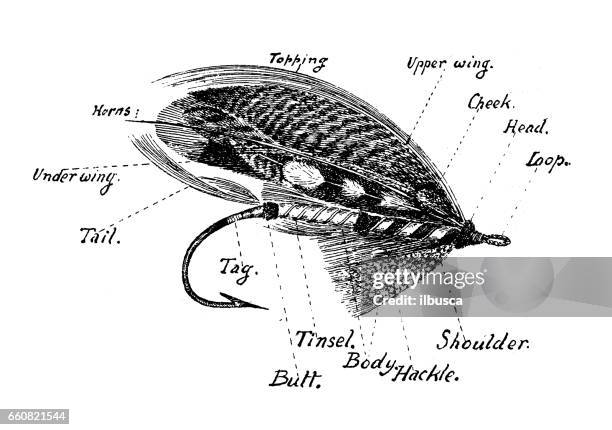 antique hobbies and sports illustration: salmon bait fly - vintage fishing lure stock illustrations