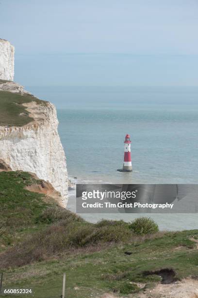 beachy head light house - beachy head stock pictures, royalty-free photos & images