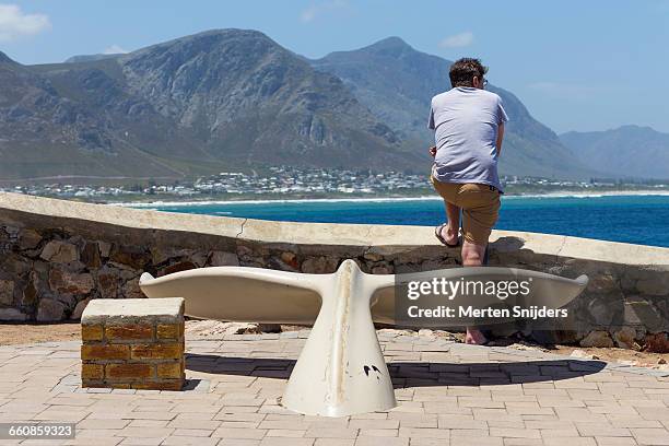 whale watching in front of whale tail - hermanus stock-fotos und bilder