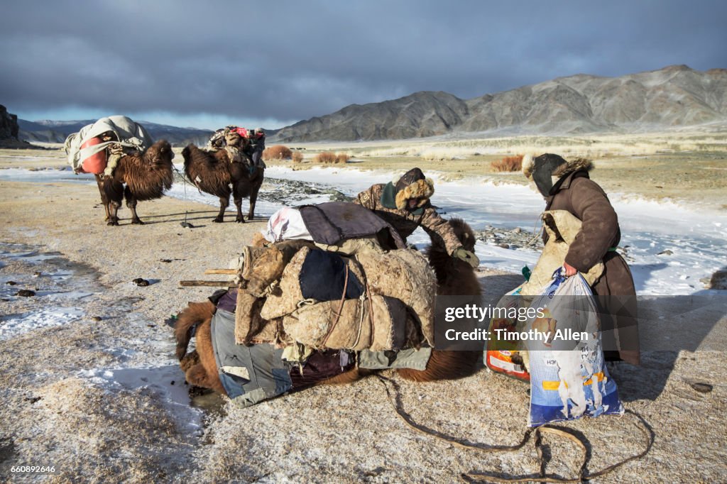 Kazakh Eagle Hunters Nomadic Migration