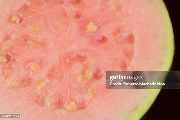 Guava Red Color Color Guava Photos and Premium High Res Pictures - Getty Images