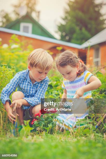 lycklig liten flicka och en pojke i trädgården - blommande växt bildbanksfoton och bilder
