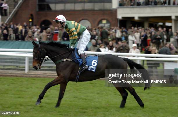 Spot the Difference ridden by John Thomas McNamara goes to post in the Sporting Index Steeple Chase