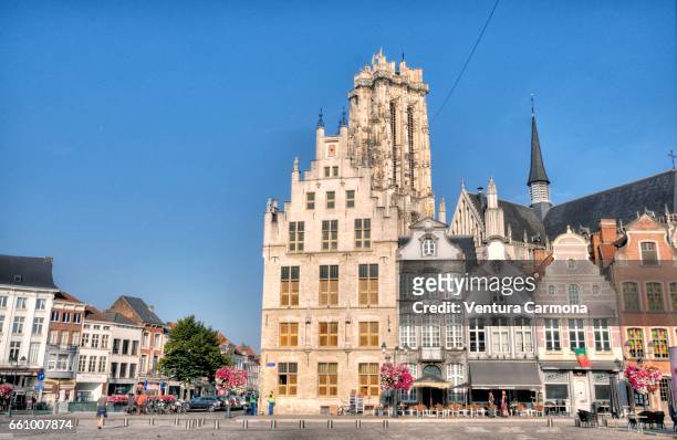 cathedral and grote markt (large market square) in mechelen, belgium - gebäudefront stock pictures, royalty-free photos & images