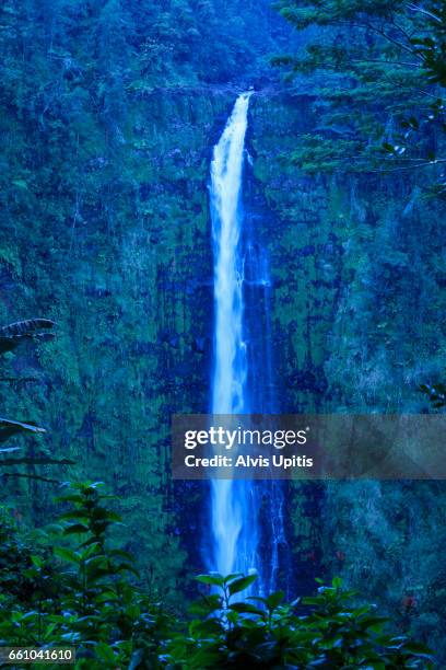 akaka falls state park hawaii - akaka state falls park stock pictures, royalty-free photos & images