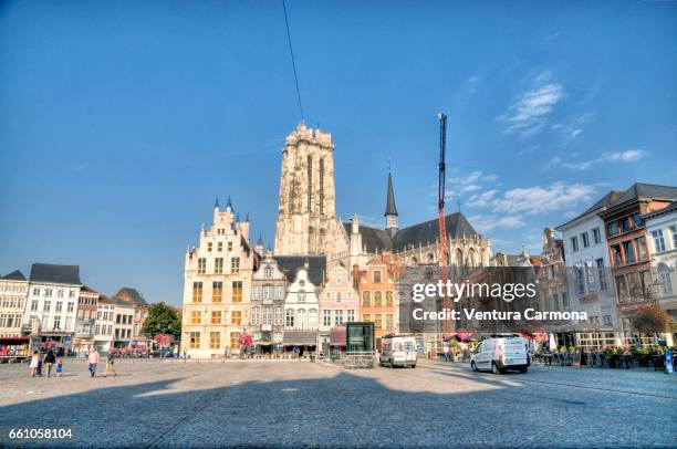 cathedral and grote markt (large market square) in mechelen, belgium - städtischer platz - fotografias e filmes do acervo