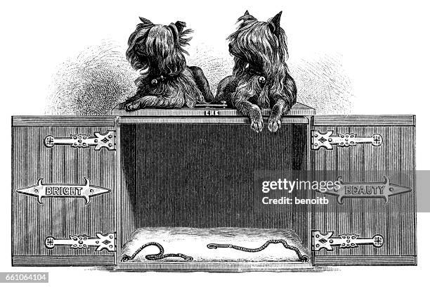 yorkshire terriers - small box stock illustrations